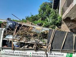 Professional Junk Removal in Silver Grove, KY